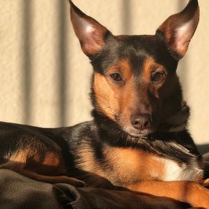 Kwanjai Pryor-Chatman